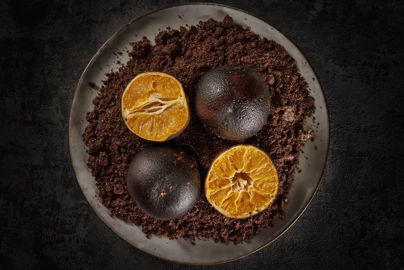 Cuisine gastronomique du chef Mathieu Salmon - Plat élaboré avec produits régionaux